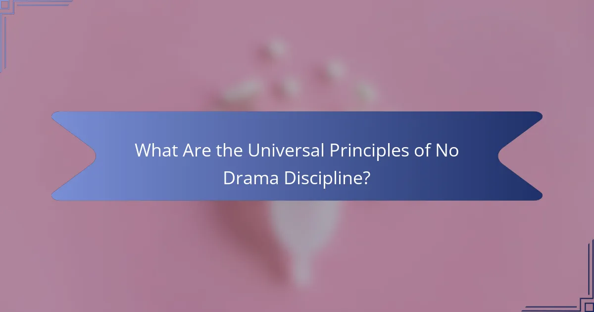 What Are the Universal Principles of No Drama Discipline?