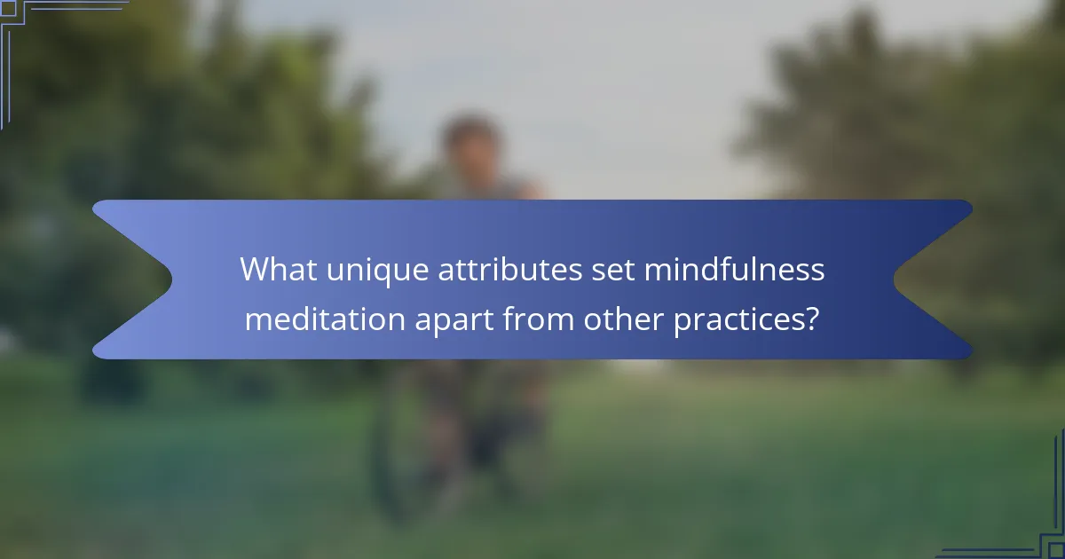 What unique attributes set mindfulness meditation apart from other practices?